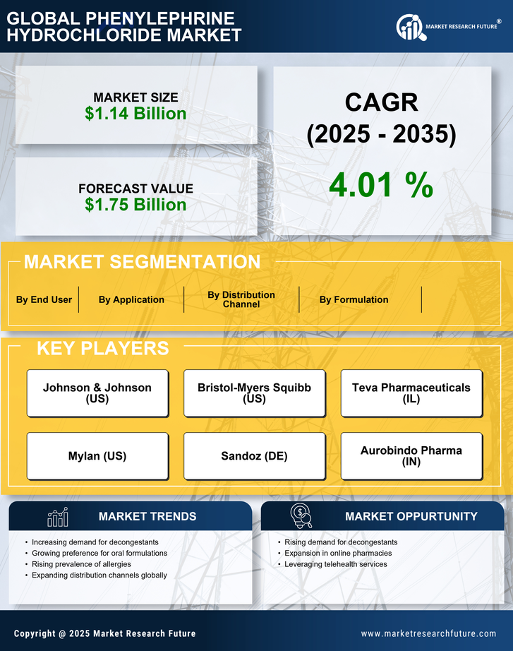Phenylephrine Hydrochloride Market Research Report — Global Forecast till 2035 Infographic
