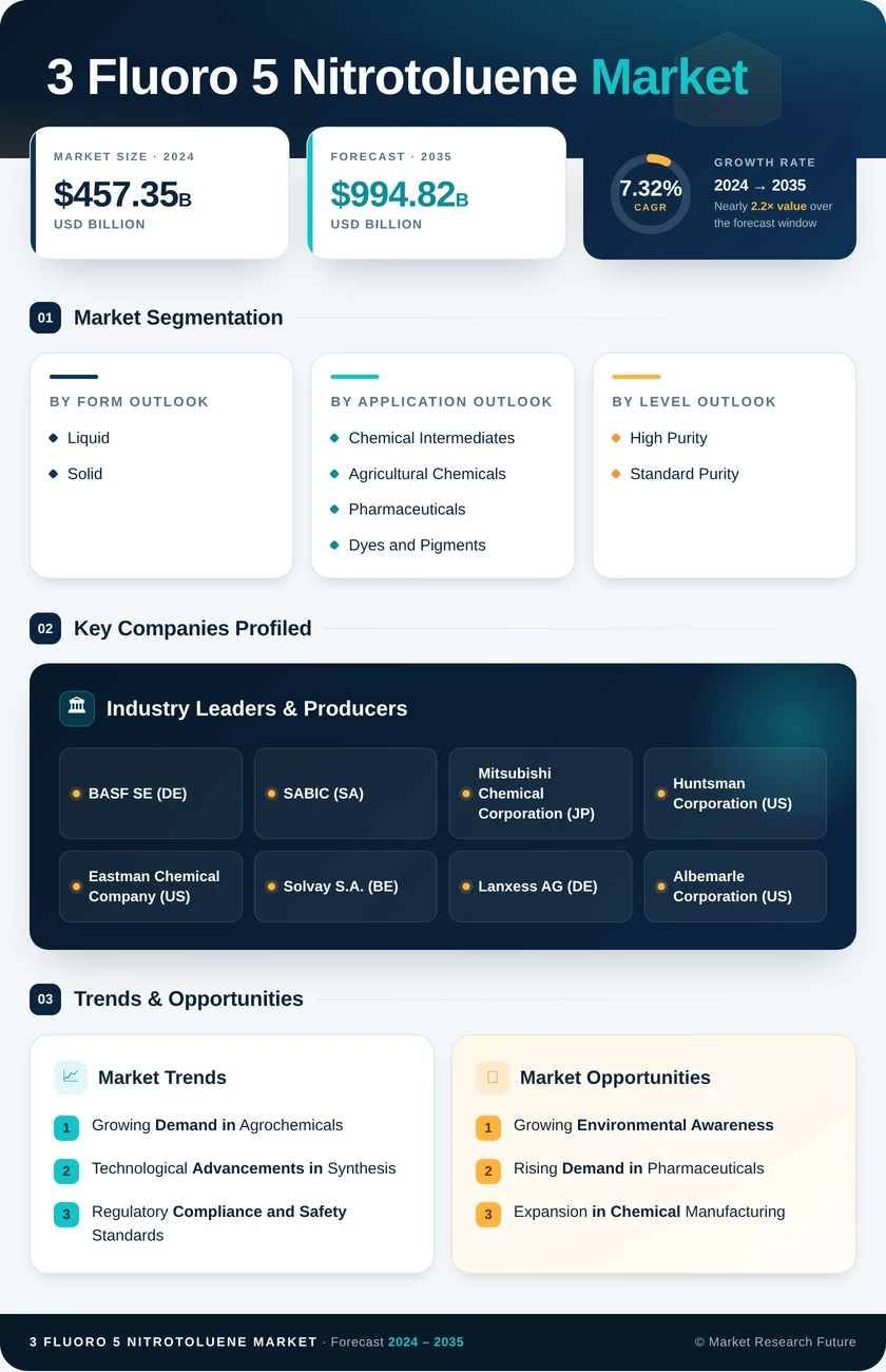3-Fluoro-5-Nitrotoluene Market Research Report - Global Forecast by 2035 Infographic