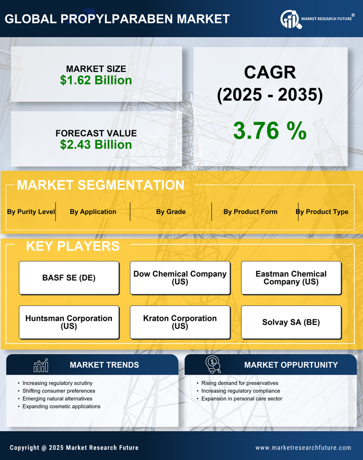 Propylparaben Market Research Report- Global Forecast till 2035 Infographic
