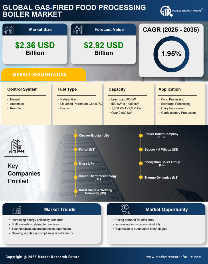 Gas-Fired Food Processing Boiler Market Infographic