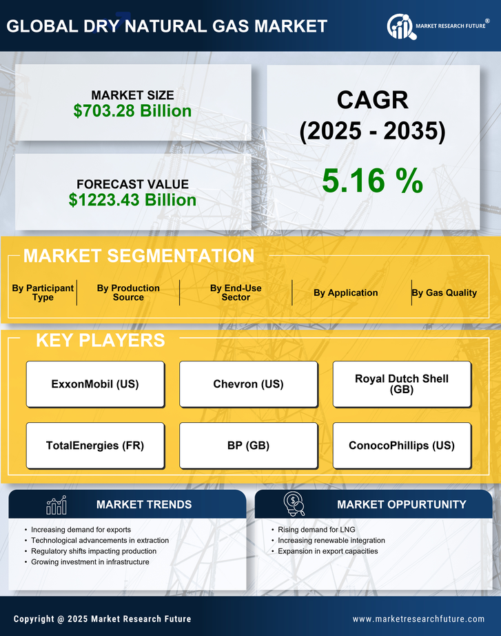 Dry Natural Gas Market Research Report — Global Forecast till 2035 Infographic