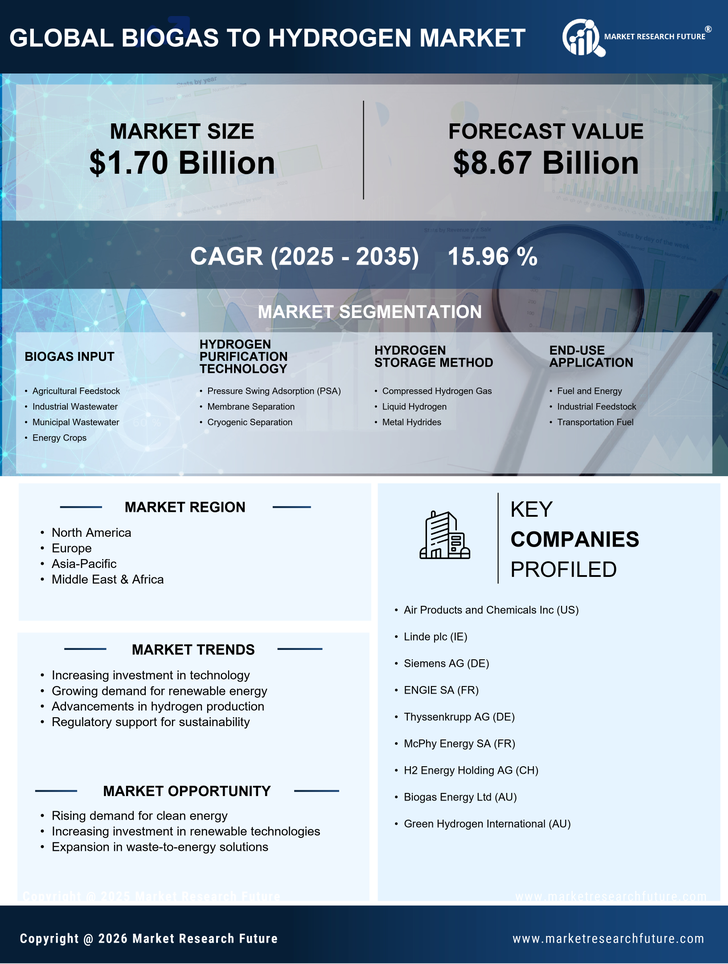 Biogas To Hydrogen Market Research Report - Global Forecast till 2035 Infographic