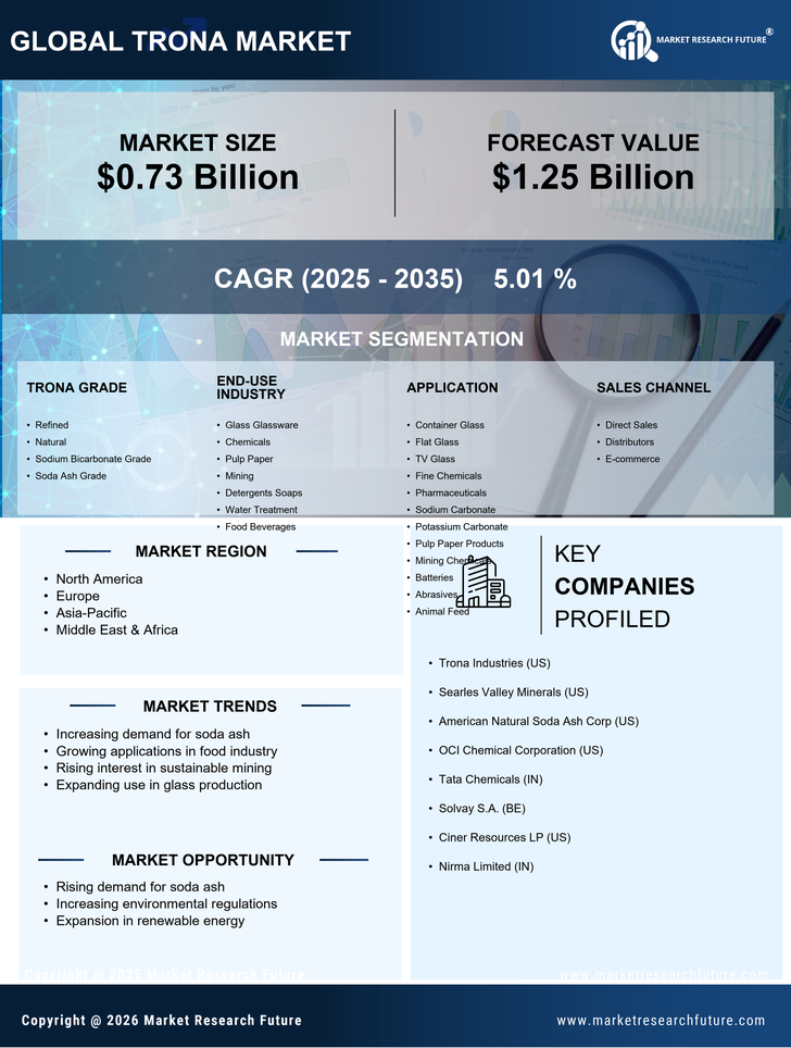 Trona Market Research Report — Global Forecast till 2035 Infographic