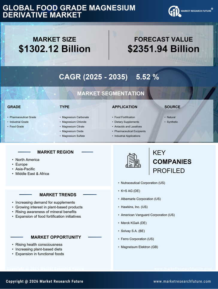 Food Grade Magnesium Derivative Market Research Report — Global Forecast till 2035 Infographic