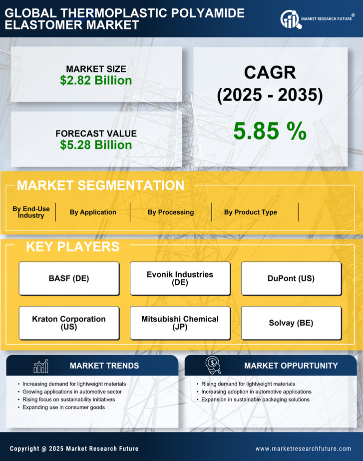 Thermoplastic Polyamide Elastomer Market Research Report — Global Forecast till 2035 Infographic