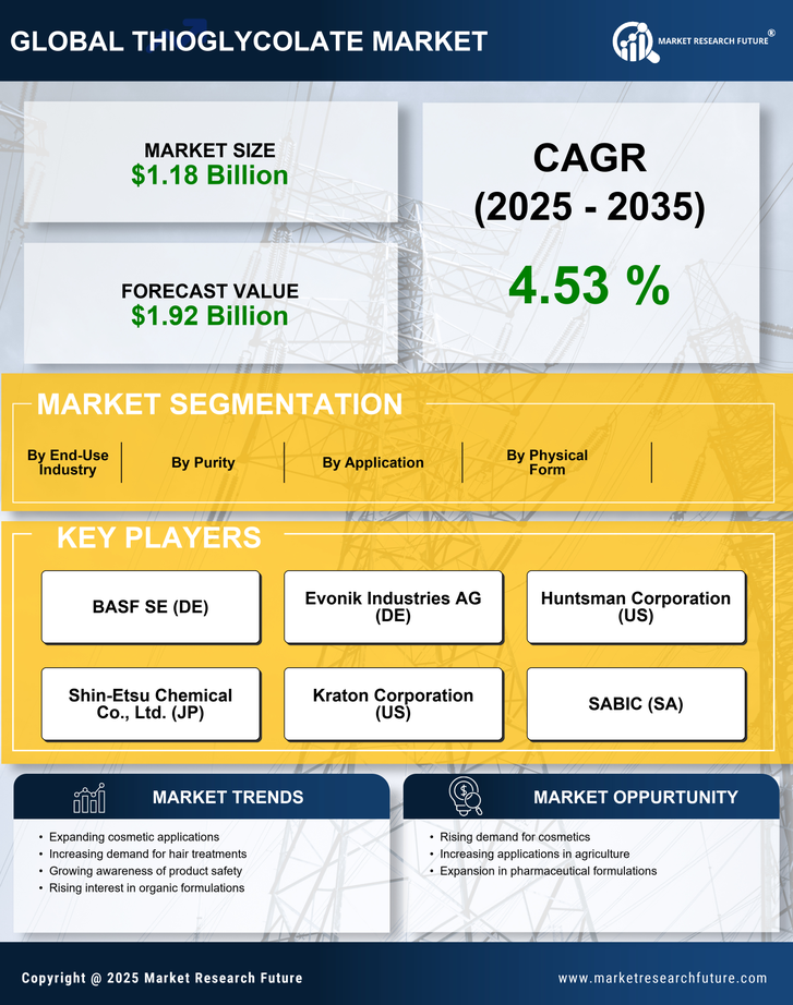 Thioglycolate Market Research Report- Global Forecast till 2035 Infographic