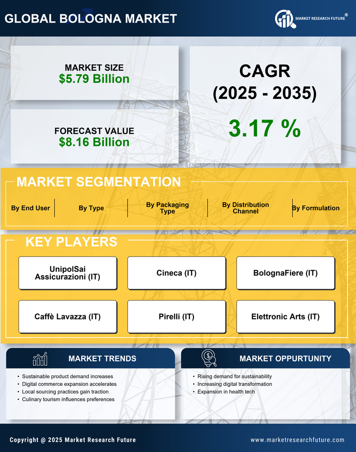 Bologna Market Research Report — Global Forecast till 2035 Infographic