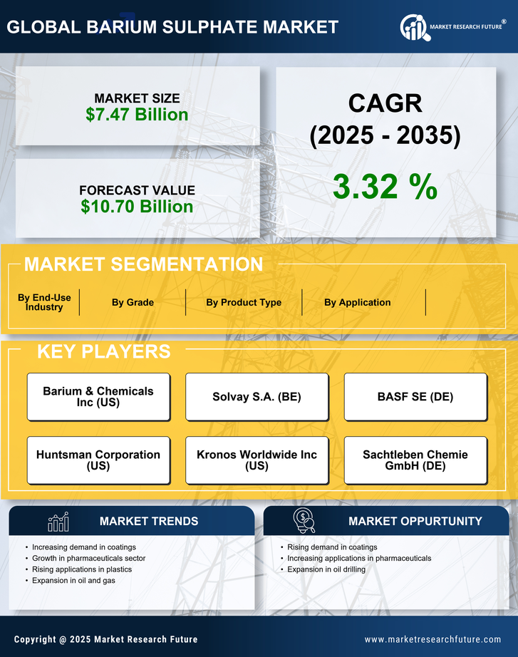 Barium Sulphate Market Research Report- Global Forecast till 2035 Infographic