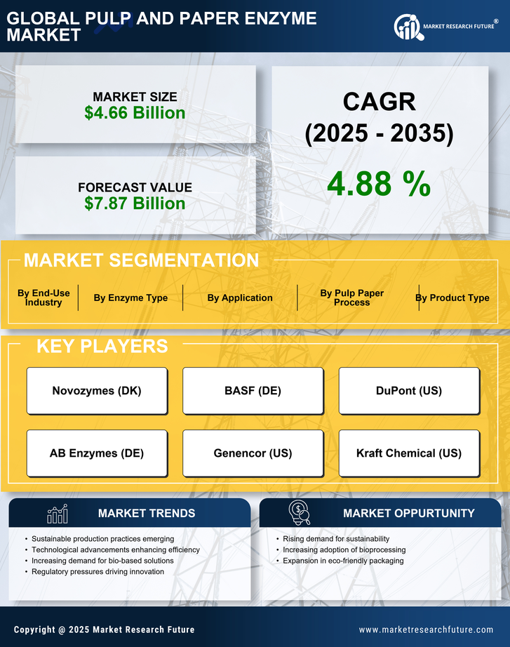 Pulp and Paper Enzyme Market Research Report - Forecast Till 2035 Infographic