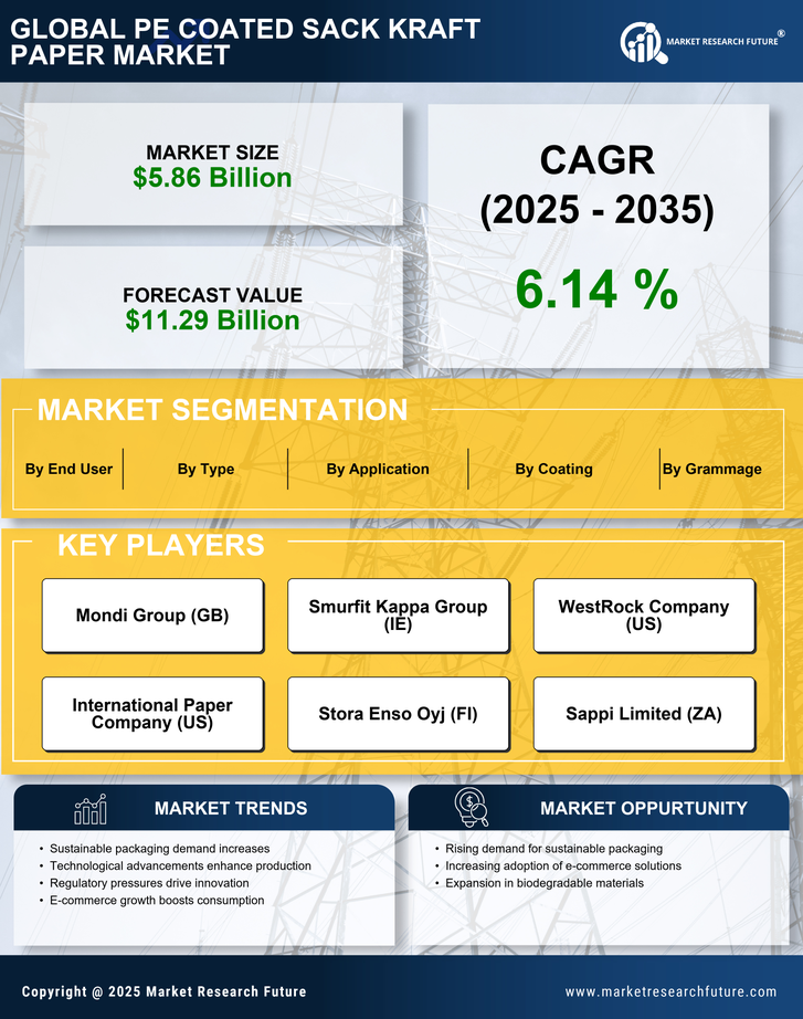 Pe Coated Sack Kraft Paper Market Research Report — Global Forecast till 2035 Infographic