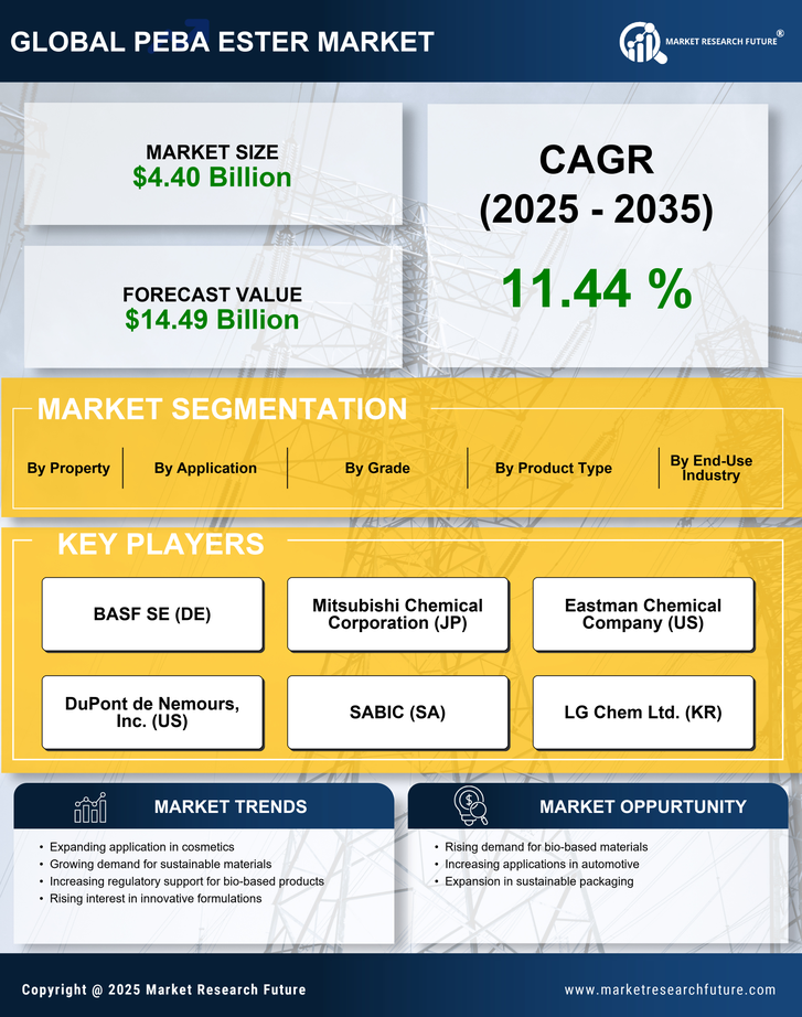 Peba Ester Market Research Report — Global Forecast till 2035 Infographic