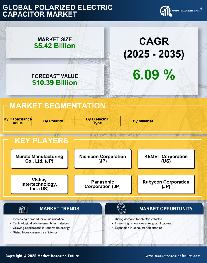 Polarized Electric Capacitor Market Research Report — Global Forecast till 2035 Infographic