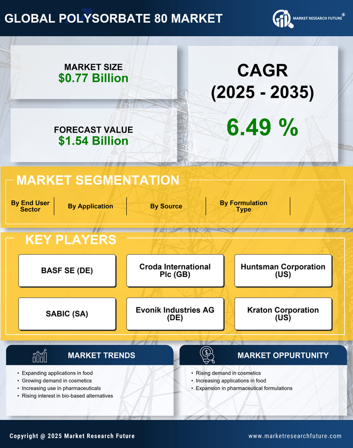 Polysorbate 80 Market Research Report — Global Forecast till 2035 Infographic