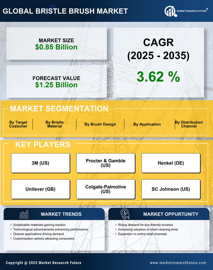Bristle Brush Market Research Report - Forecast Till 2035 Infographic