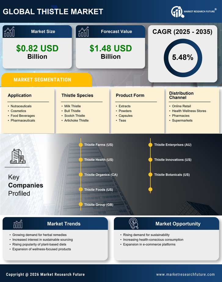 Thistle Market Research Report - Global Forecast till 2035 Infographic