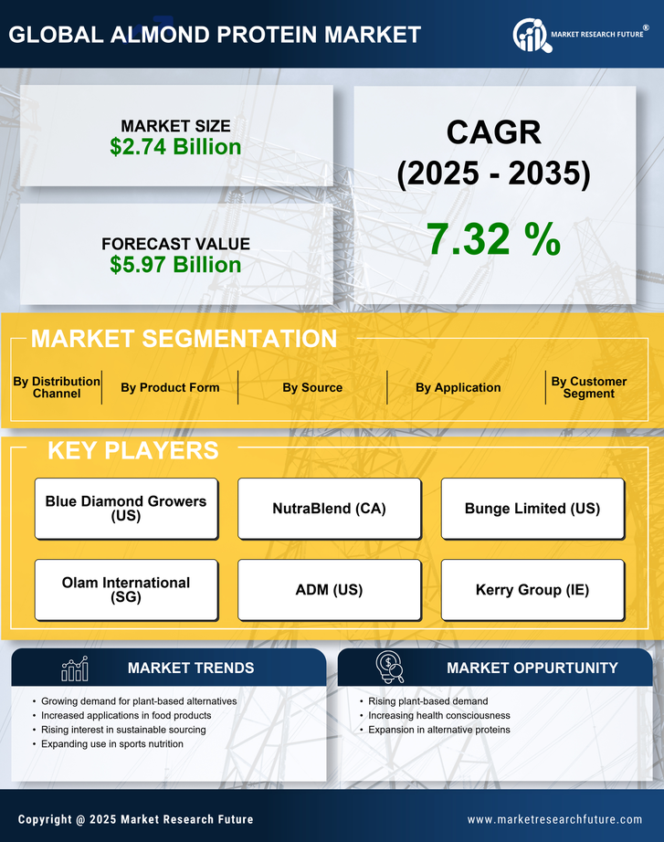 Almond Protein Market Research Report — Global Forecast till 2035 Infographic