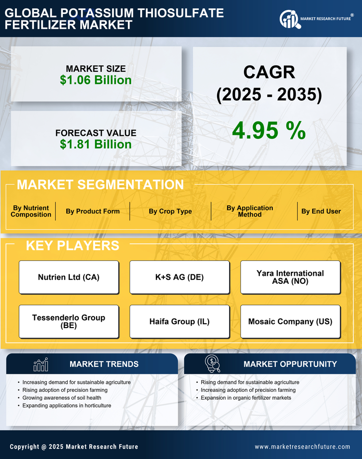 Potassium Thiosulfate Fertilizer Market Research Report — Global Forecast till 2035 Infographic
