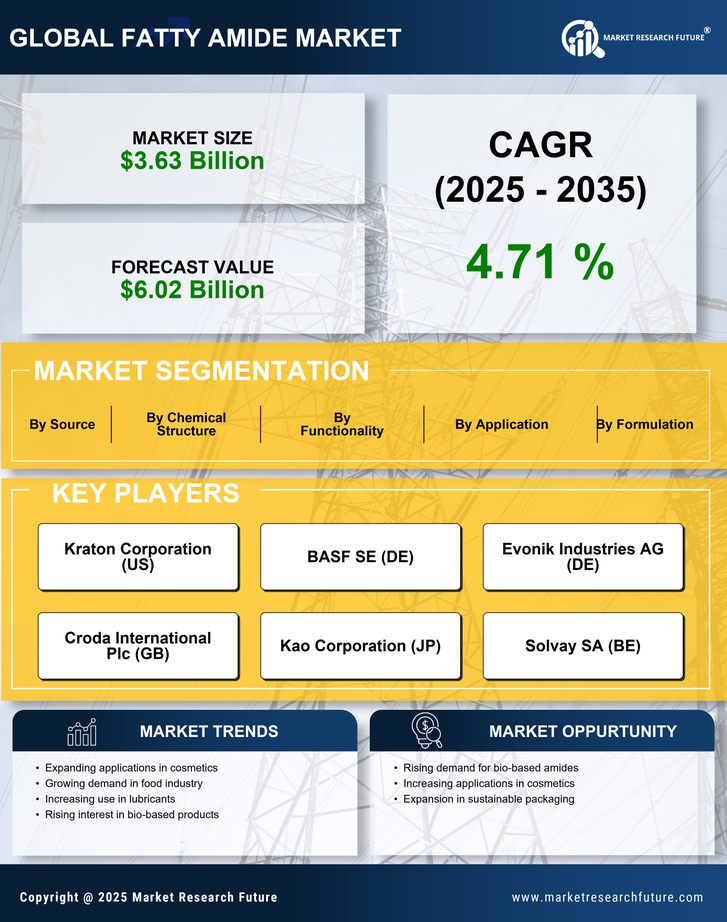 Fatty Amide Market Research Report — Global Forecast till 2035 Infographic