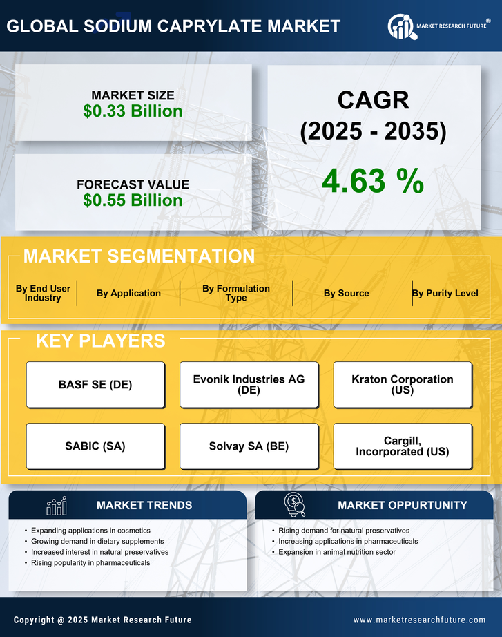 Sodium Caprylate Market Research Report — Global Forecast till 2035 Infographic