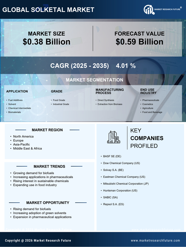 Solketal Market Research Report — Global Forecast till 2035 Infographic