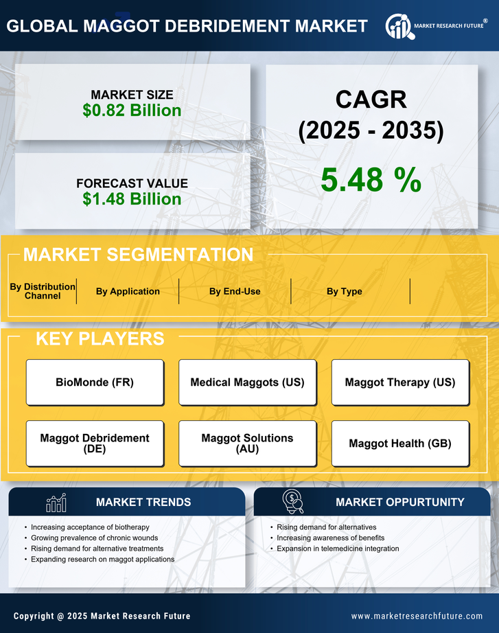 Maggot Debridement Market Research Report - Forecast Till 2035 Infographic