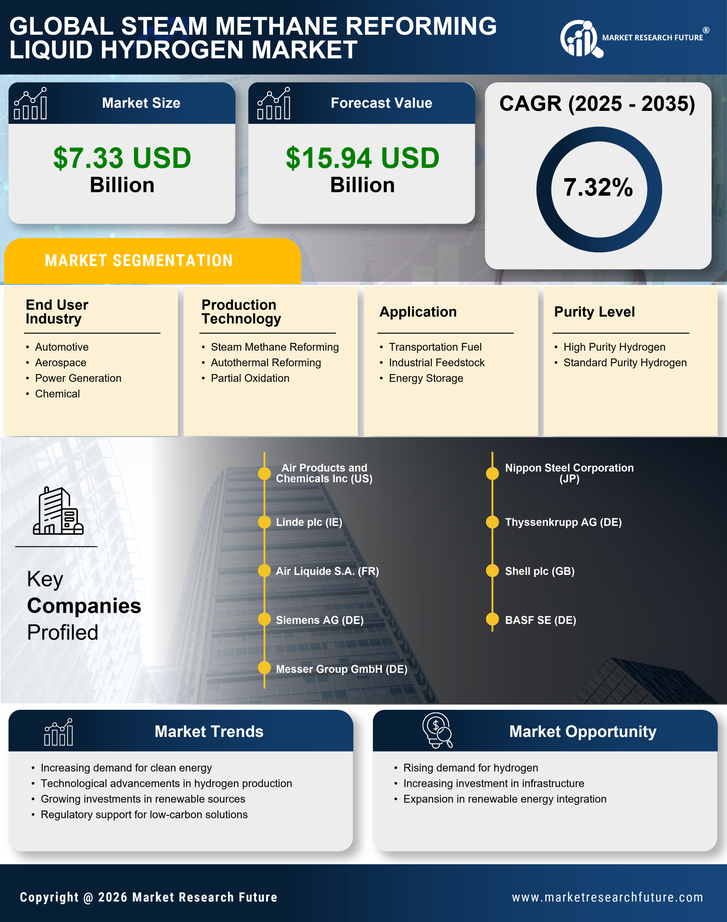 Steam Methane Reforming Liquid Hydrogen Market Research Report — Global Forecast till 2035 Infographic