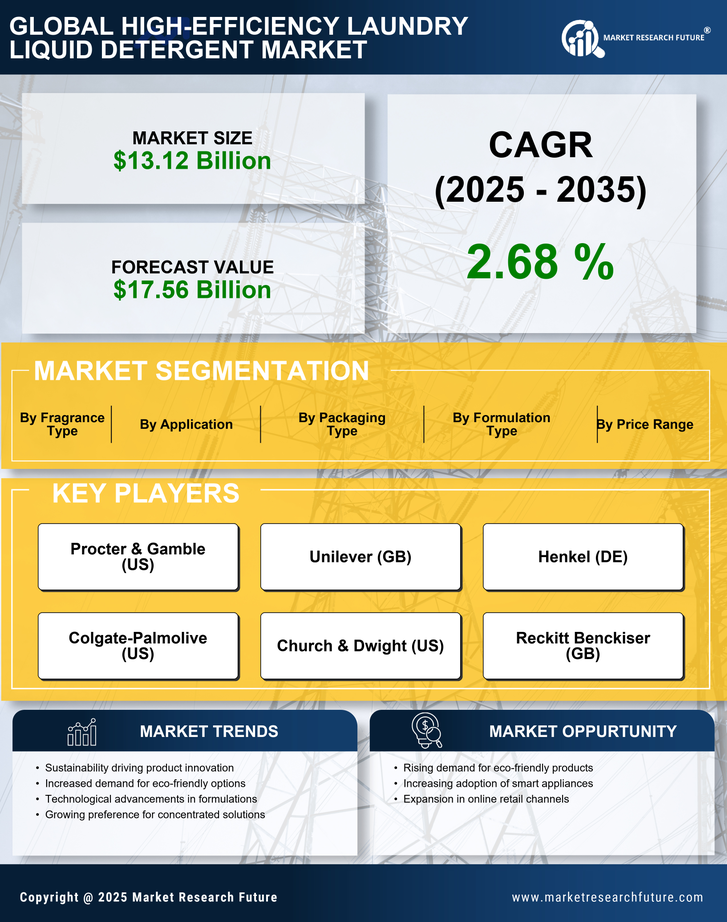 High-Efficiency Laundry Liquid Detergent Market Research Report - Forecast Till 2035 Infographic