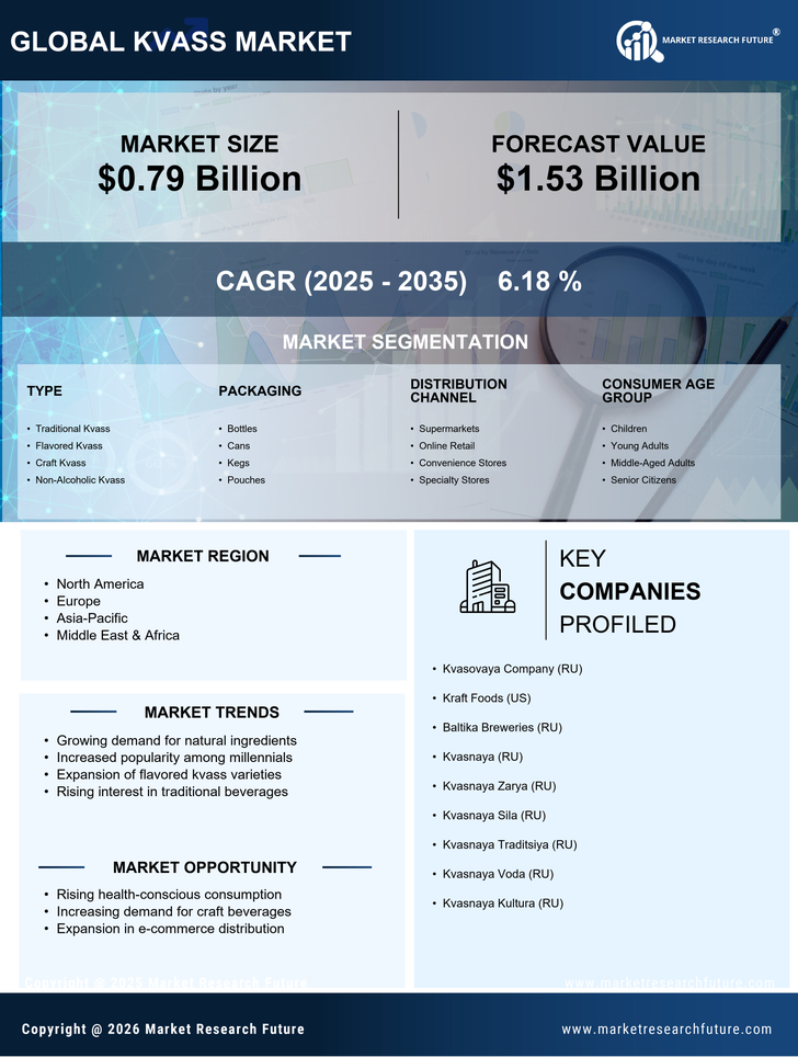 Kvass Market Research Report — Forecast till 2035 Infographic
