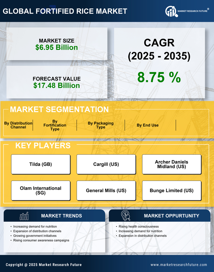 Fortified Rice Machine Market Research Report — Global Forecast till 2035 Infographic