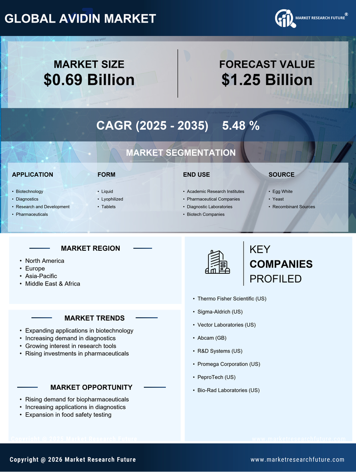 Avidin Market Research Report — Global Forecast till 2035 Infographic