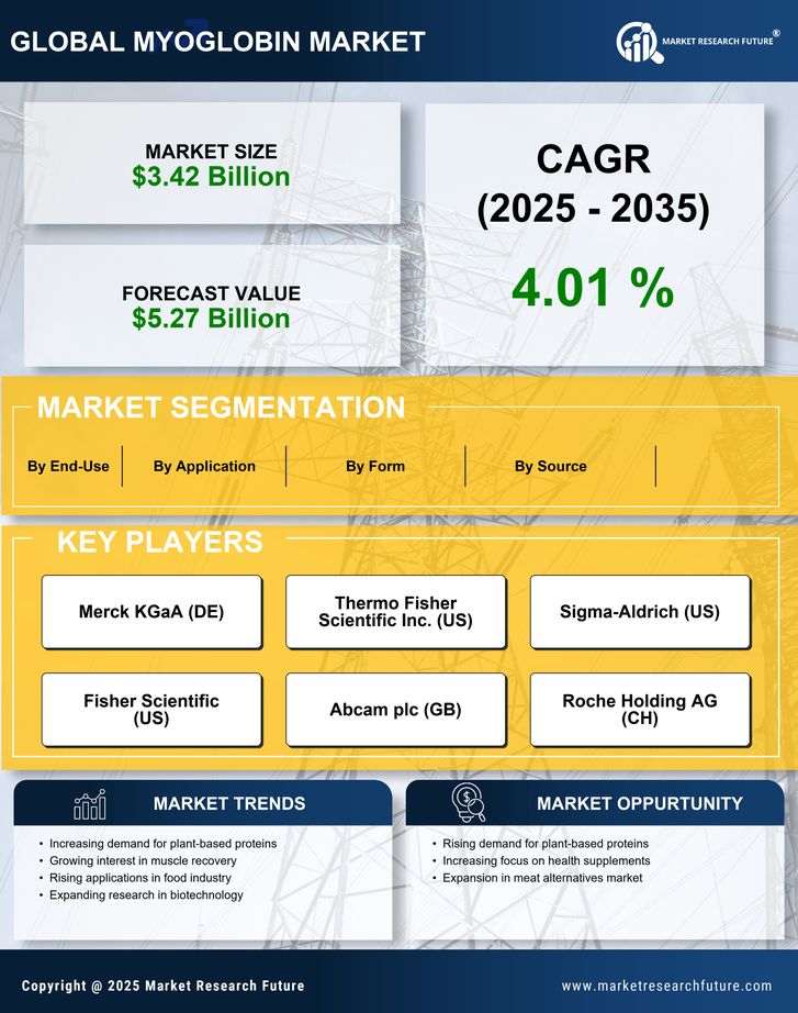 Myoglobin Market Research Report-Forecast till 2035 Infographic