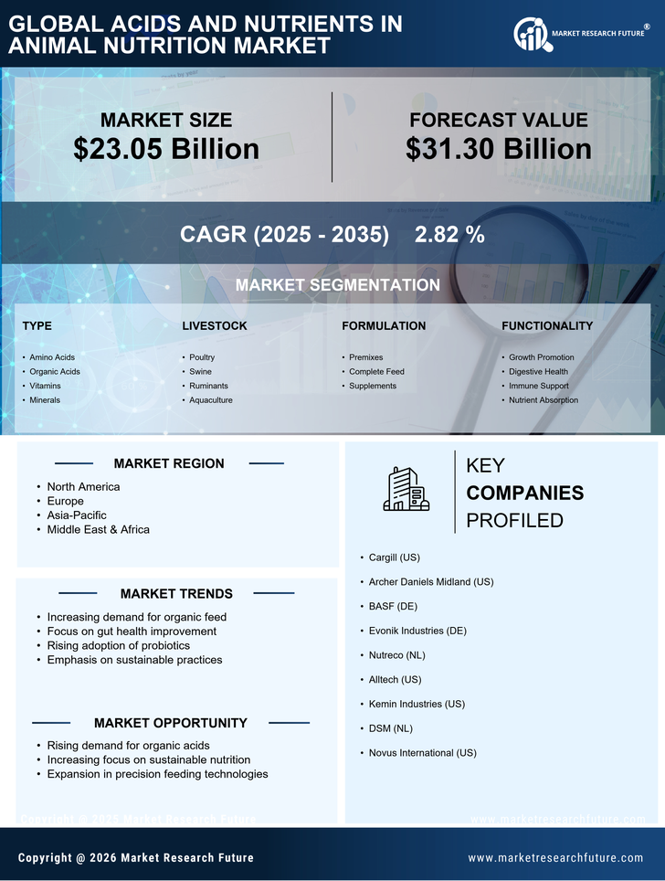 Acids and Nutrients in Animal Nutrition Market Research Report — Global Forecast till 2035 Infographic
