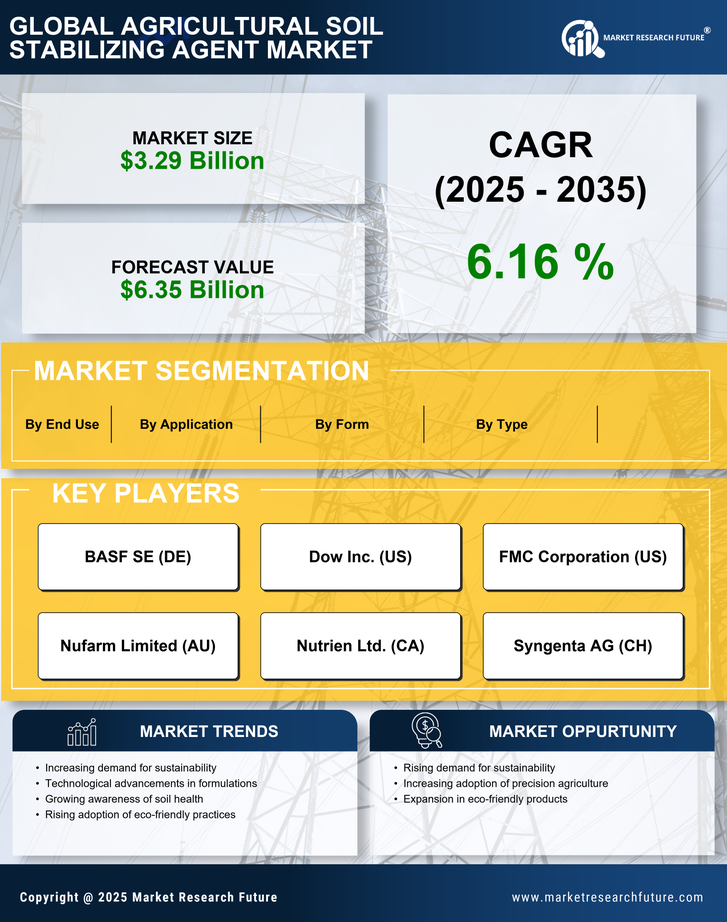Agricultural Soil Stabilizing Agent Market Research Report — Global Forecast till 2035 Infographic