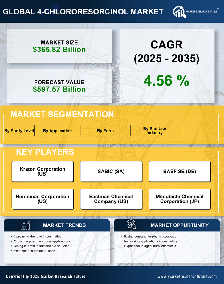 4-Chlororesorcinol Market Research Report — Global Forecast till 2035 Infographic