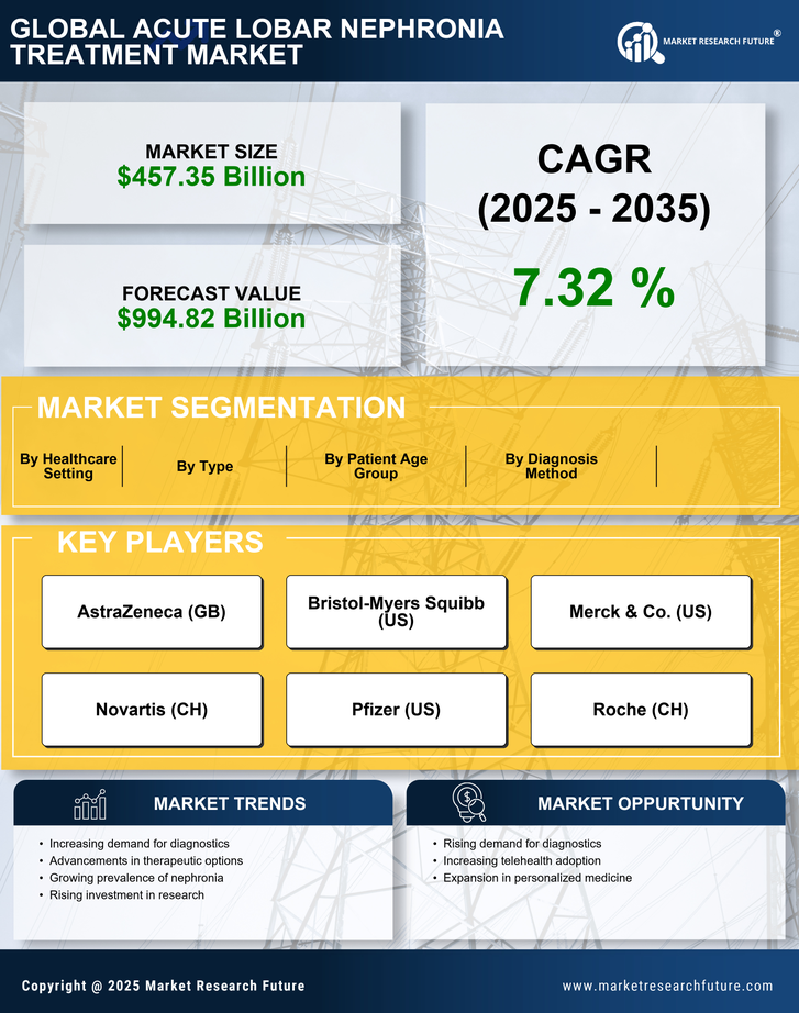 Acute Lobar Nephronia Treatment Market Research Report — Global Forecast till 2035 Infographic