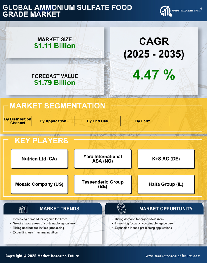 Ammonium Sulfate Food Grade Market Research Report — Global Forecast till 2035 Infographic