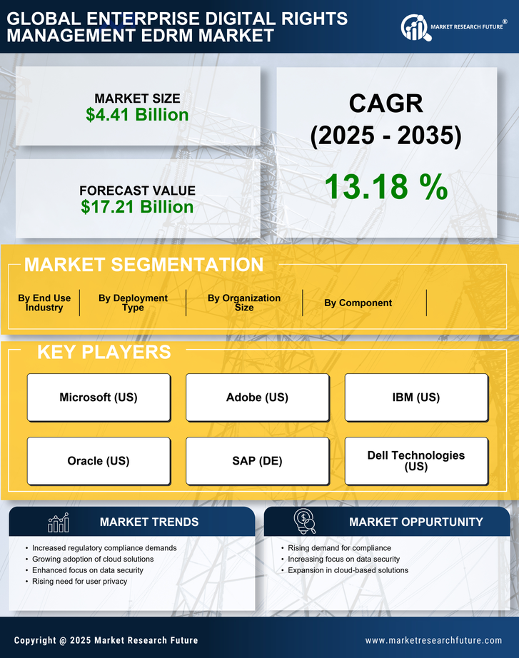 Enterprise Digital Rights Management EDRM Market Research Report - Global Forecast to 2035 Infographic