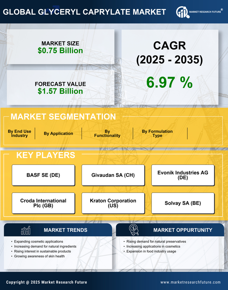 Glyceryl Caprylate Market Research Report - Forecast Till 2035 Infographic