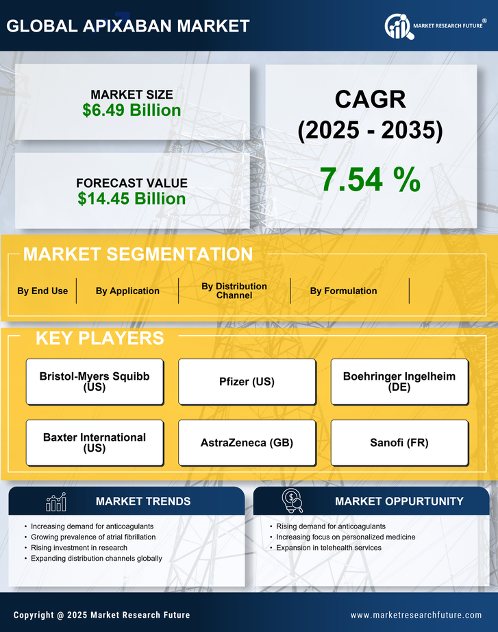 Apixaban Market Research Report — Global Forecast till 2035 Infographic