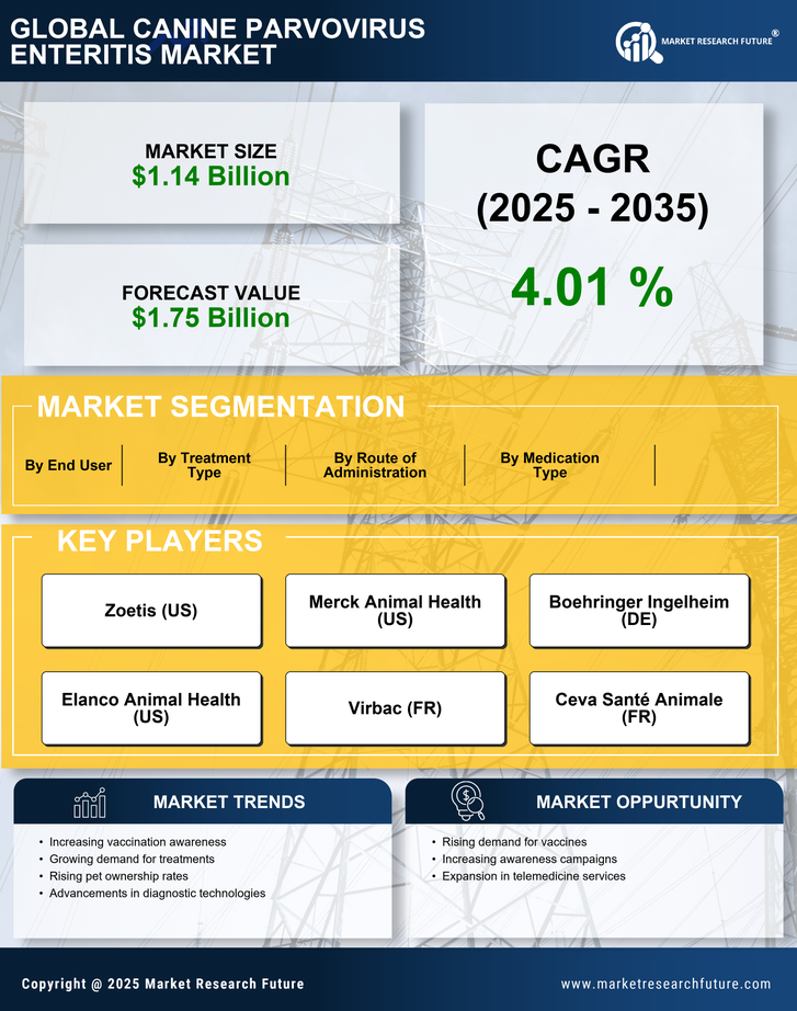 Canine Parvovirus Enteritis Market Research Report — Global Forecast till 2035 Infographic