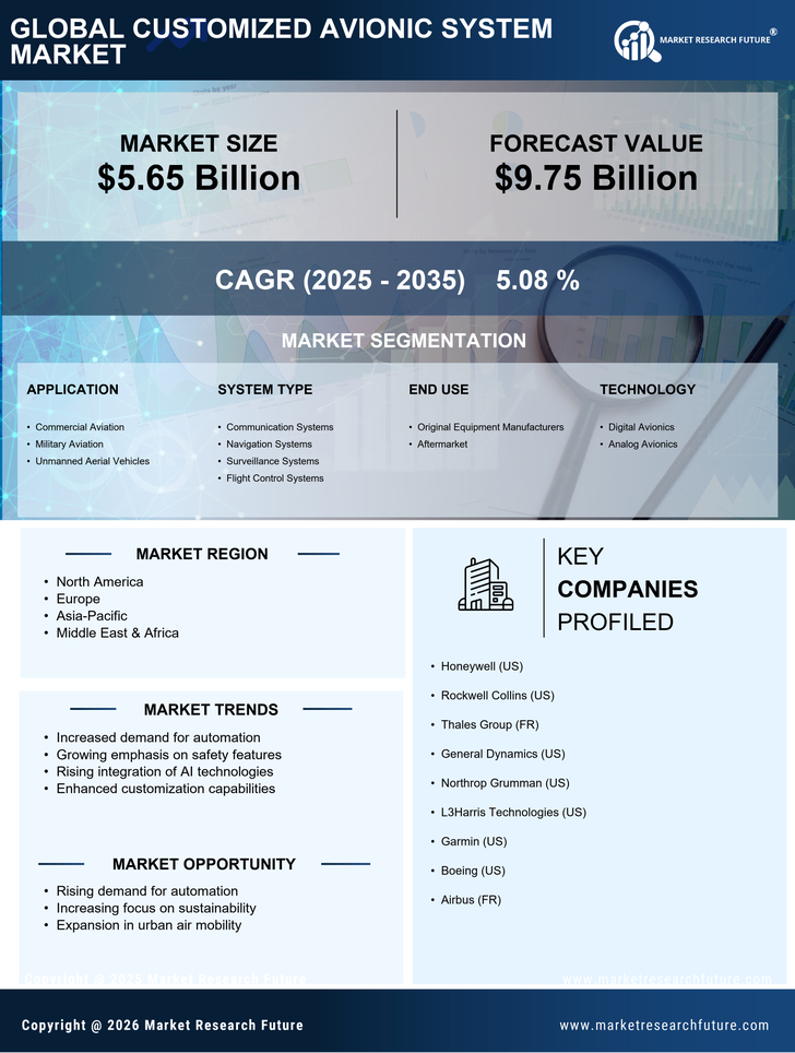 Customized Avionic System Market Infographic
