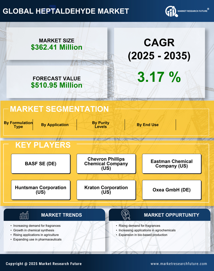 Heptaldehyde Market Research Report — Global Forecast till 2035 Infographic