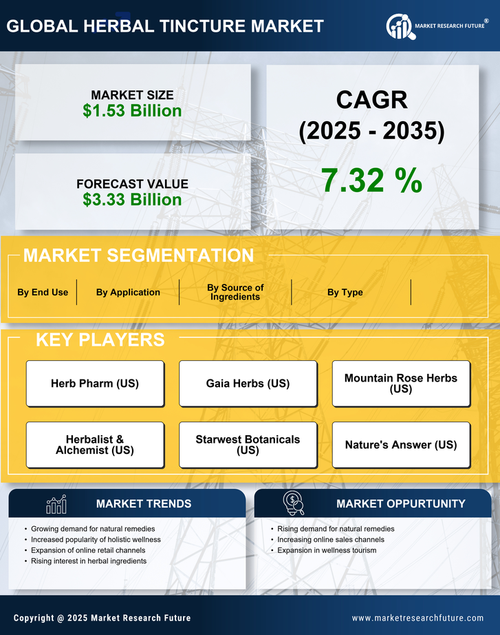 Herbal Tincture Market Research Report — Global Forecast till 2035 Infographic