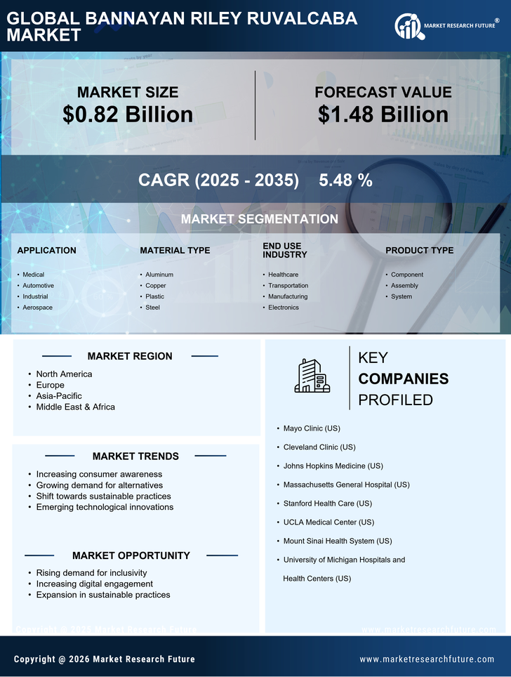 Bannayan Riley Ruvalcaba Market Research Report - Global Forecast to 2035 Infographic