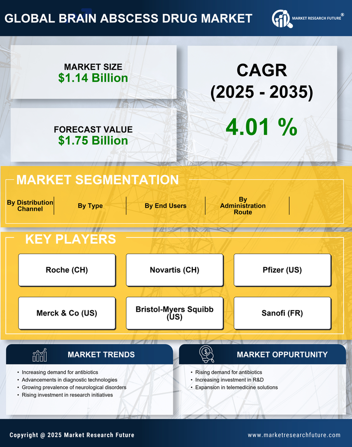 Brain Abscess Drug Market Research Report — Global Forecast till 2035 Infographic