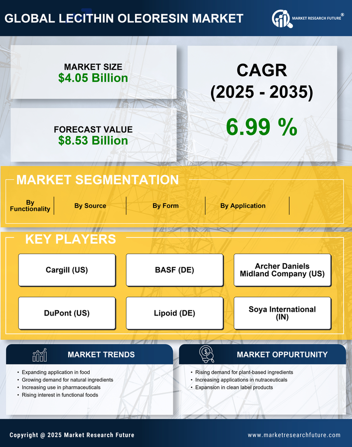 Lecithin Oleoresin Market Research Report — Global Forecast till 2035 Infographic