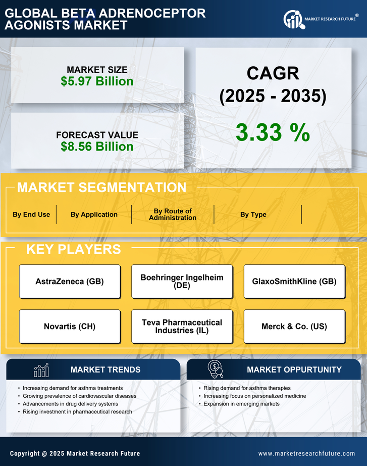 Beta Adrenoceptor Agonists Market Research Report — Global Forecast till 2035 Infographic