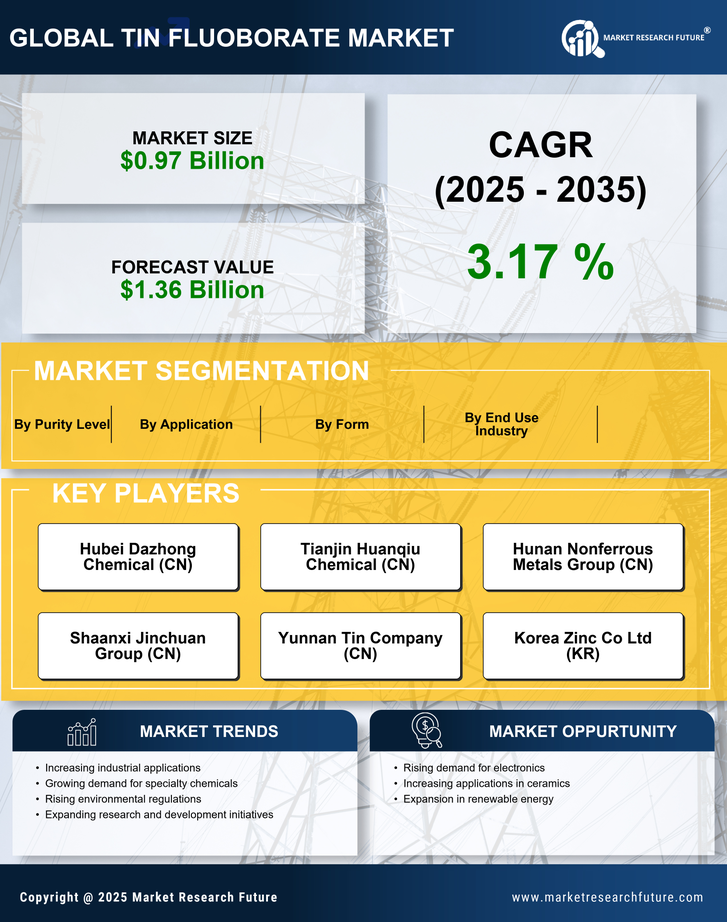 Tin Fluoborate Market Research Report - Global Forecast by 2035 Infographic