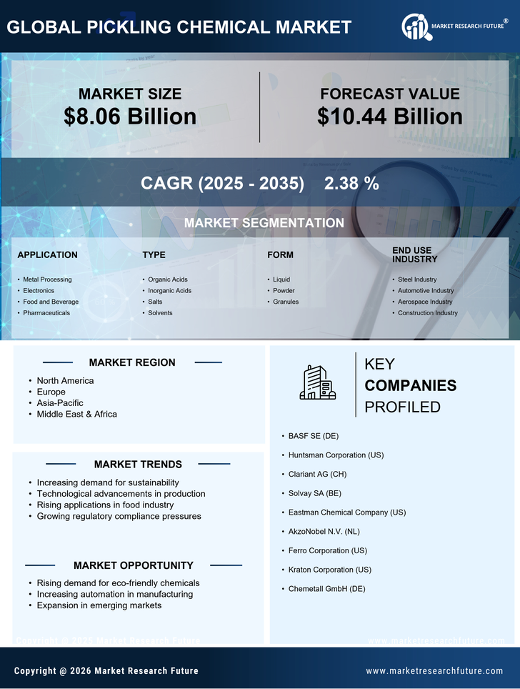 Pickling Chemical Market Research Report- Global Forecast till 2035 Infographic