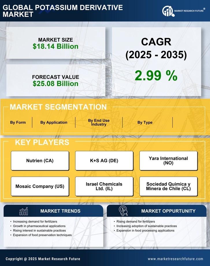 Potassium Derivative Market Research Report — Global Forecast till 2035 Infographic